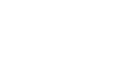 Digin